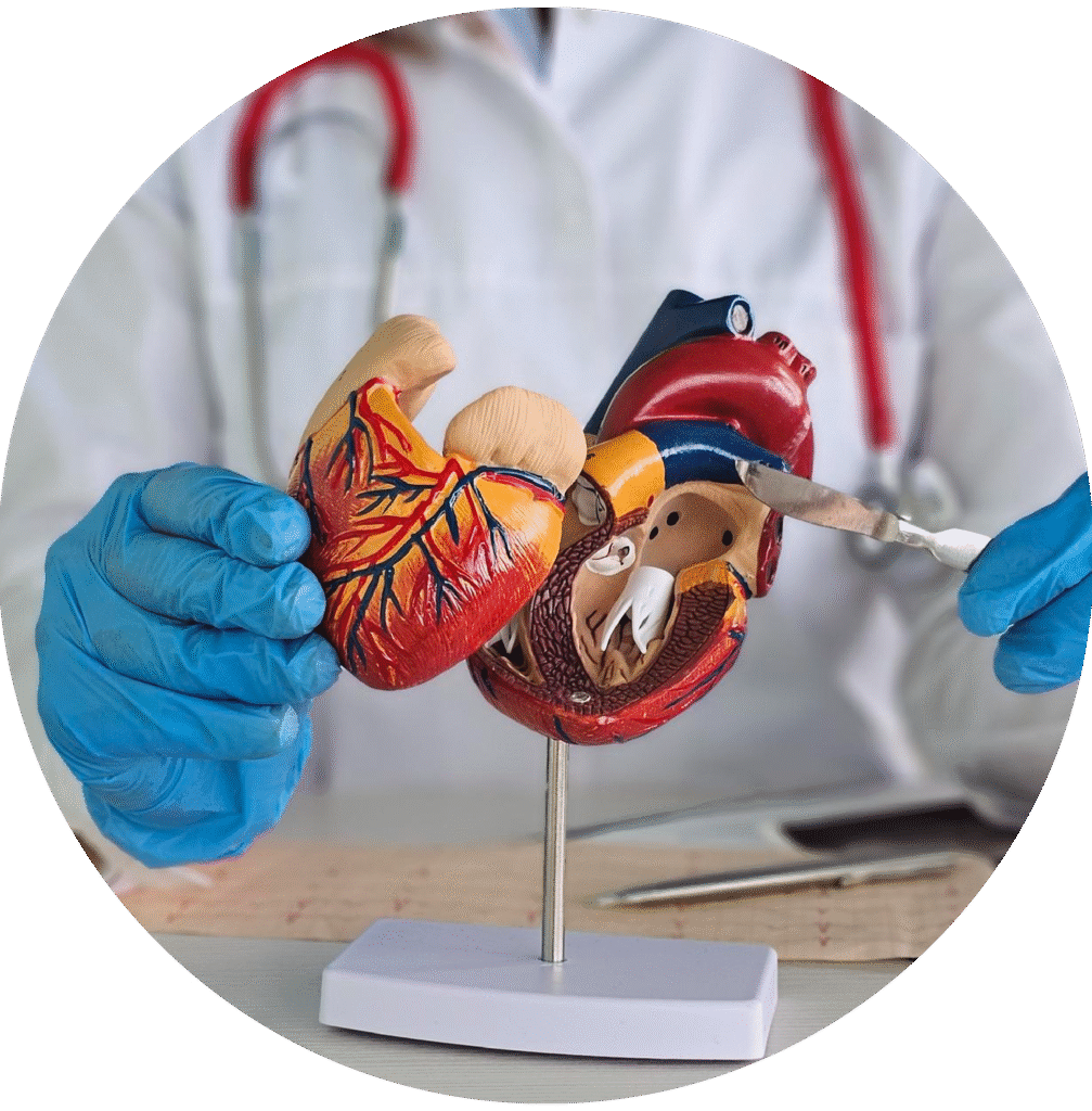 Cardiothoracic Surgery Hospital in Mysore – avantbkg hospitals