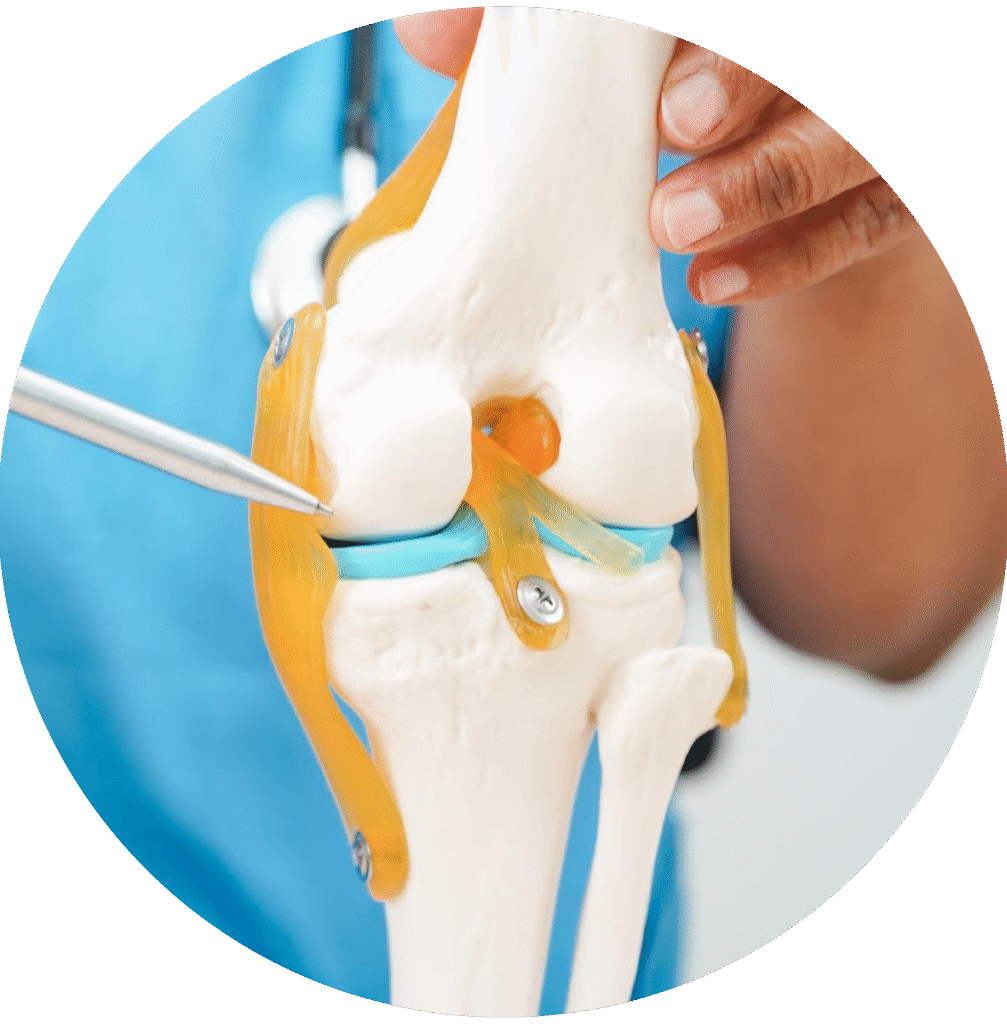Institute of Reconstructive Joint Surgery in Mysore – avantbkg