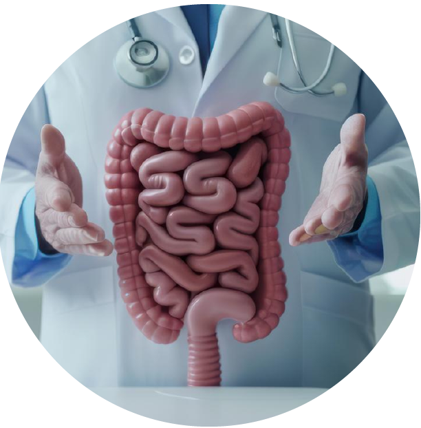 Best Gastroenterology Hospital in Mysore – avantbkg hospitals