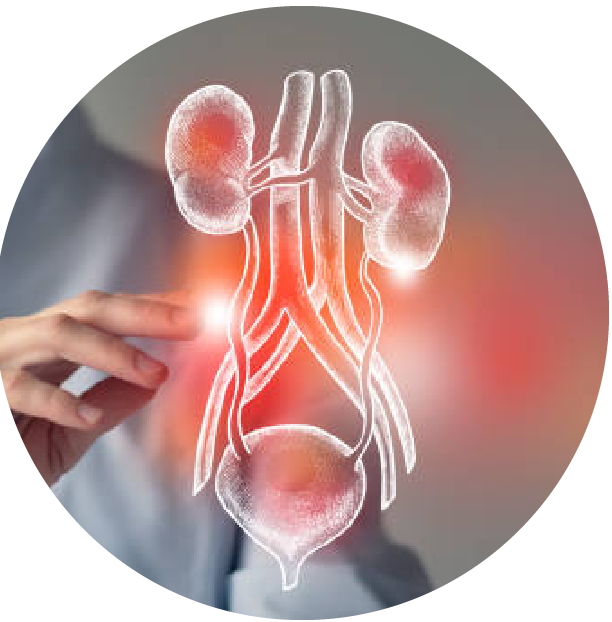 Best Urology Hospital in Mysore – avantbkg hospitals